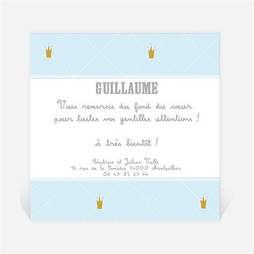 Remerciement naissance faire part original photo