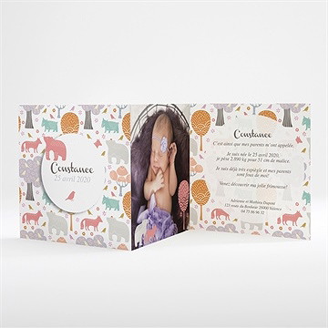 Faire-part naissance motifs animaux pastel - Intérieur du faire-part