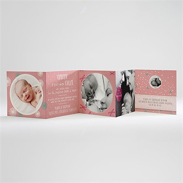 Faire-part naissance joli faire part créatif - Intérieur du faire-part