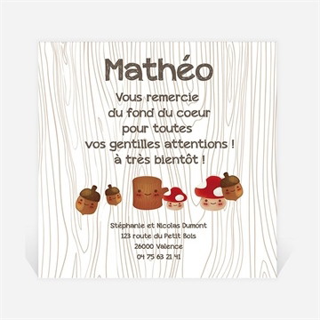 Remerciement naissance la tribu des champignons