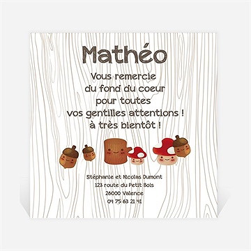 Remerciement naissance la tribu des champignons