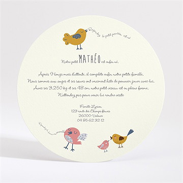 Faire-part naissance petits oiseaux doux - Dos du faire-part