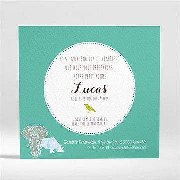 Faire-part naissance jolie jungle - Dos du faire-part