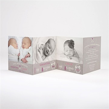 Faire-part naissance vive les jumeaux - Intérieur du faire-part