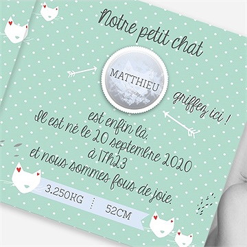 Faire-part naissance mon petit chat photo - Détail du faire-part