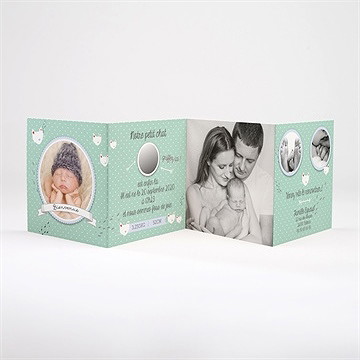 Faire-part naissance mon petit chat photo - Faire-part non gratté