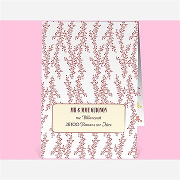 Faire-part naissance petit seigneur - Dos du faire-part