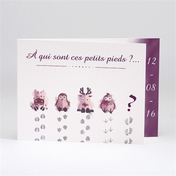 Faire-part naissance petits petons