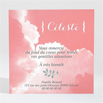 Remerciement naissance belle naissance fille