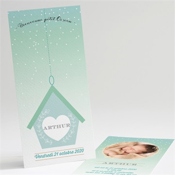 Faire-part naissance la cabane