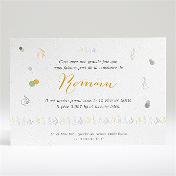 Faire-part naissance petits animaux tendance - Dos du faire-part