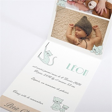 Faire-part naissance notre petit chat - Intérieur du faire-part