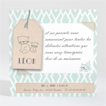 Remerciement naissance notre petit chat