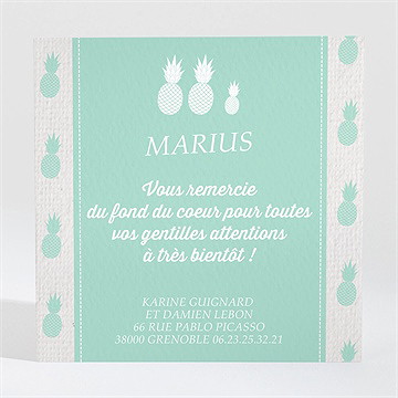 Remerciement naissance ananas