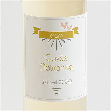 Etiquette de bouteille naissance cascade de photos