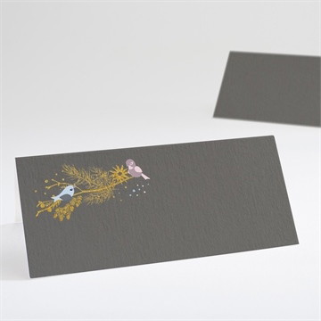 Marque-place baptême annonce surprise