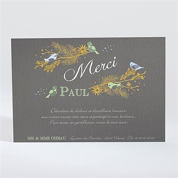 Remerciement baptême plumes printanières - Dos du faire-part