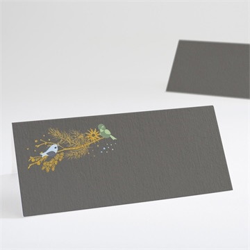 Marque-place baptême plumes printanières