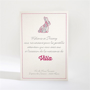 Remerciement naissance joli lapin avec photo - Dos de la carte