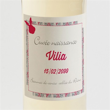 Etiquette de bouteille naissance joli lapin avec photo