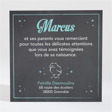 Remerciement naissance réf. N3001223