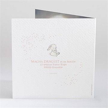 Faire-part naissance tendre lapin - Dos du faire-part