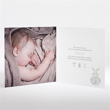 Faire-part naissance lapinou - Intérieur du faire-part