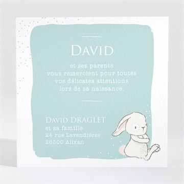 Remerciement naissance lapinou