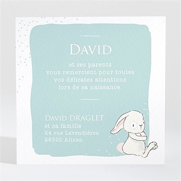 Remerciement naissance lapinou