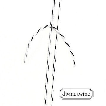 Faire-part mariage végétal retro - Détail de la ficelle