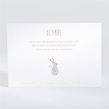 Remerciement naissance cadre bucolique - Dos de la carte