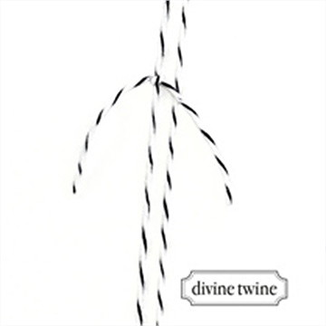 Faire-part naissance jaune graphique - Détail de la ficelle