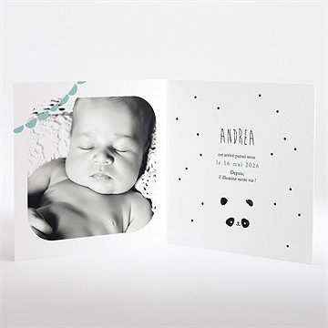Faire-part naissance mon joli panda - Intérieur du faire-part