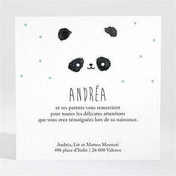 Remerciement naissance mon joli panda - Dos de la carte