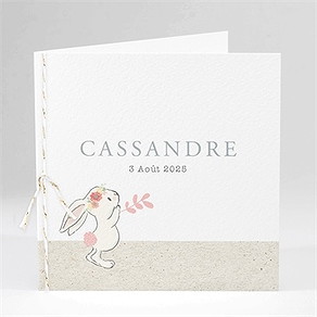 Faire-part naissance le petit messager