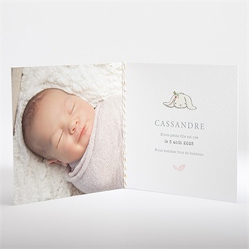 Faire-part naissance le petit messager - Intérieur du faire-part