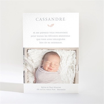 Remerciement naissance le petit messager - Dos de la carte