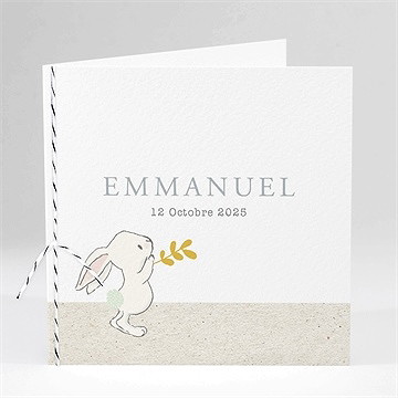 Faire-part naissance le don