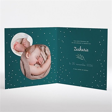 Faire-part naissance flocons délicats - Intérieur du faire-part