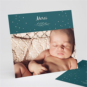 Remerciement naissance flocons délicats