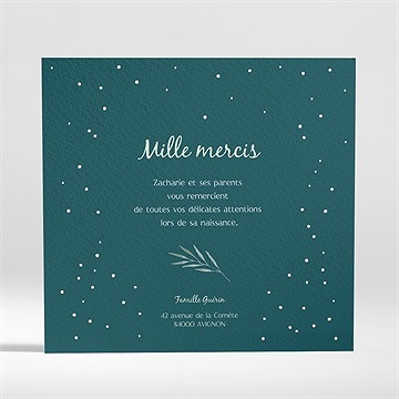 Remerciement naissance flocons délicats - Dos de la carte
