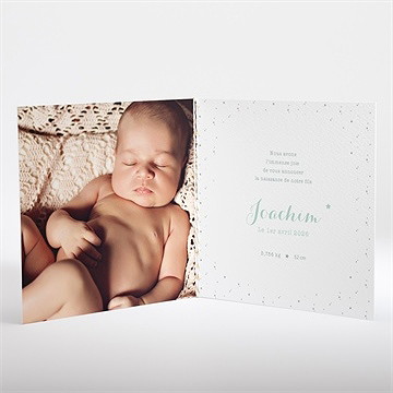 Faire-part naissance ma tribu verte - Intérieur du faire-part