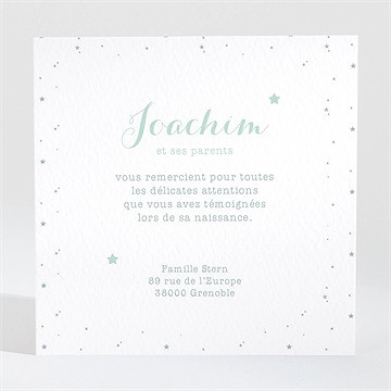 Remerciement naissance ma tribu verte - Dos de la carte