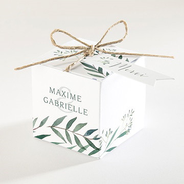 Boîte de dragées mariage douceur du pinceau