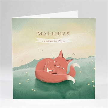 Faire-part naissance mister renard