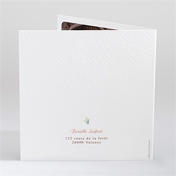 Faire-part naissance mister renard - Dos du faire-part