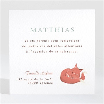 Remerciement naissance mister renard - Dos de la carte
