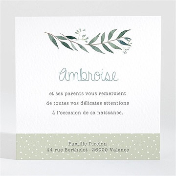 Remerciement naissance douceur champêtre - Dos de la carte