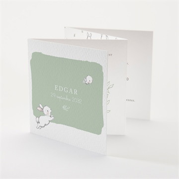 Faire-part naissance ravissant lapin