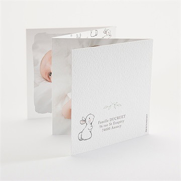 Faire-part naissance ravissant lapin - Dos du faire-part